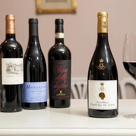 Schackenborg Slotskro 여관